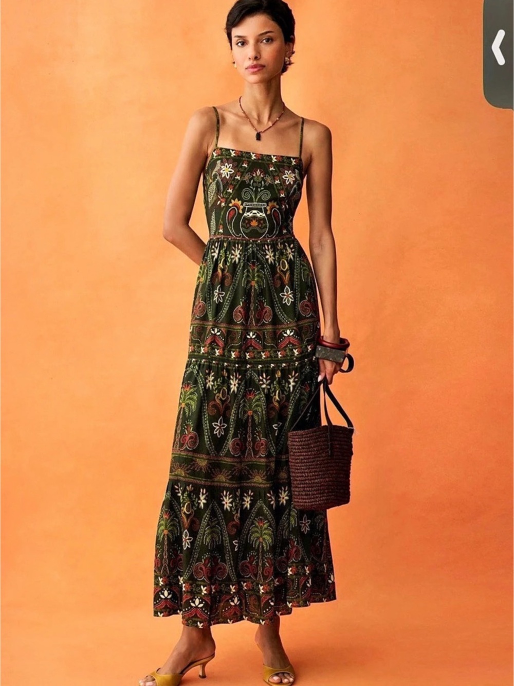 Anaya Samira Dress Rainforest paisley Size 6 NWT